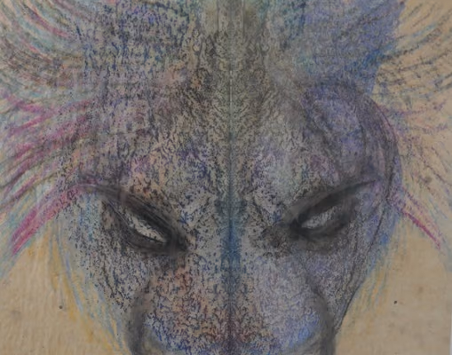 animal