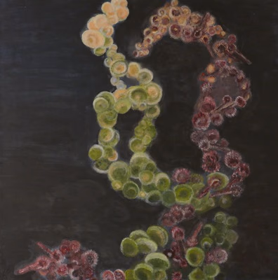 cells & chains
